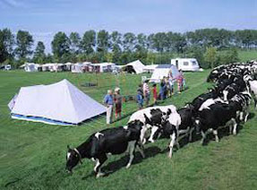 Boerencampings Nederland